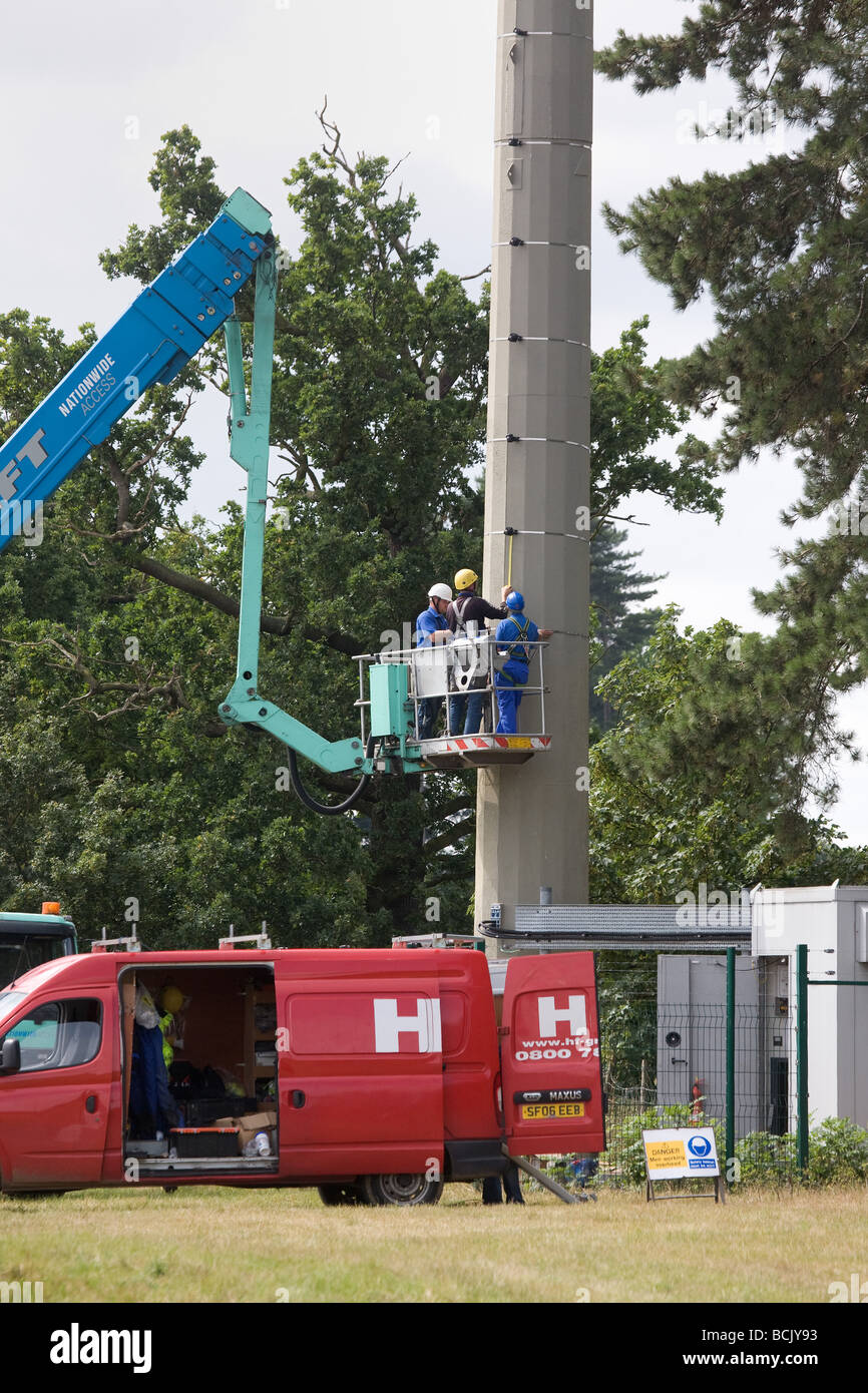 Arbeitnehmer, die Durchführung von Wartungsarbeiten an einem Handy-Mast, getarnt als einen Baum, um die Mischung in die Landschaft Stockfoto
