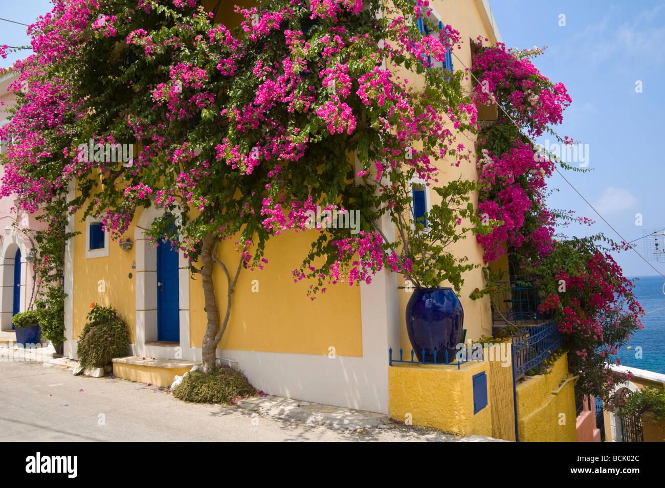 Ferienhäuser und Ferienwohnungen mit Trauerweiden im Dorf Assos auf der griechischen Insel Kefalonia Griechenland GR bedeckt Stockfoto