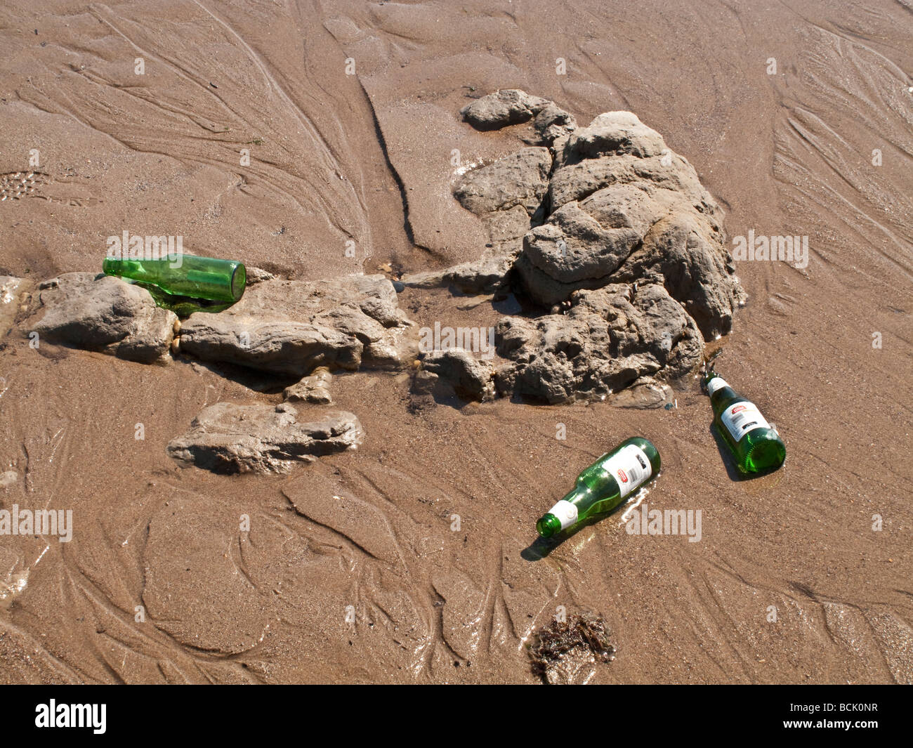 Weggeworfene Bierflaschen auf öffentlichen Badestrand UK Stockfoto
