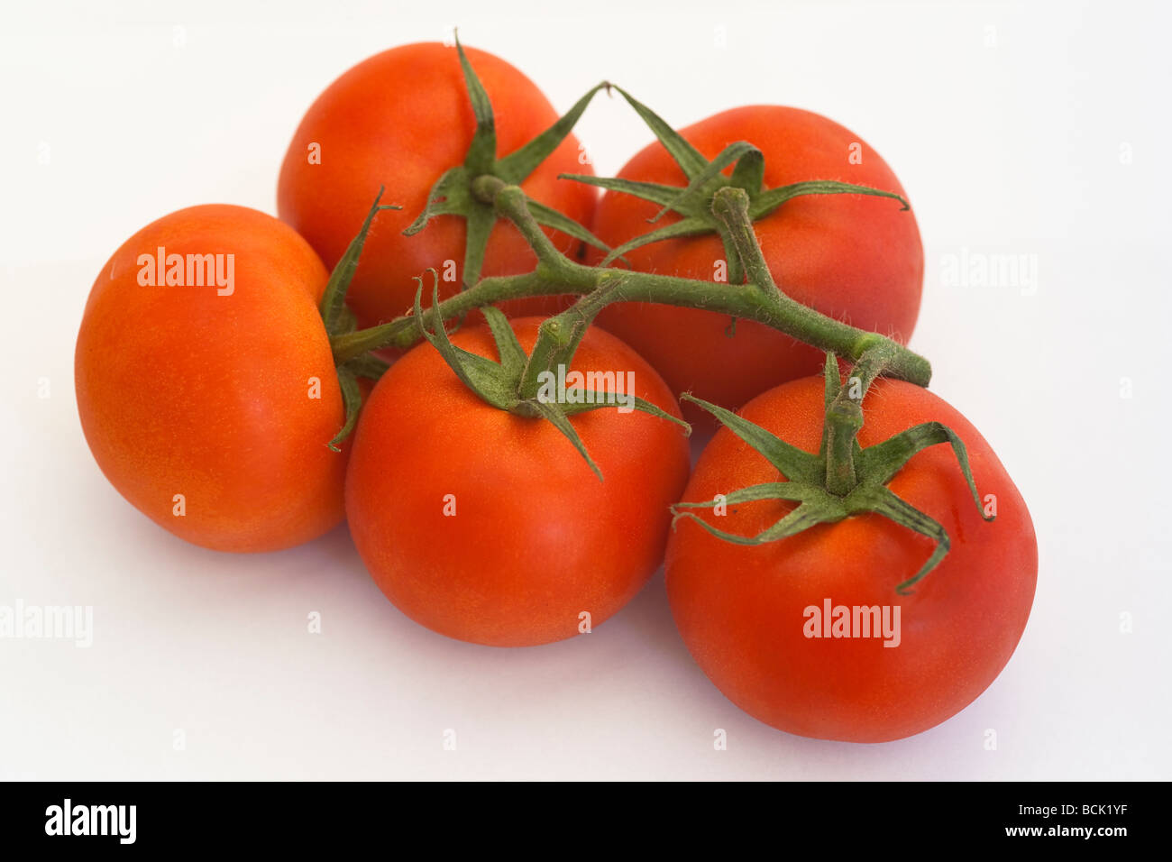 Nahaufnahme von fünf köstlichen Tomaten auf weißen Hintergrund isoliert Stockfoto