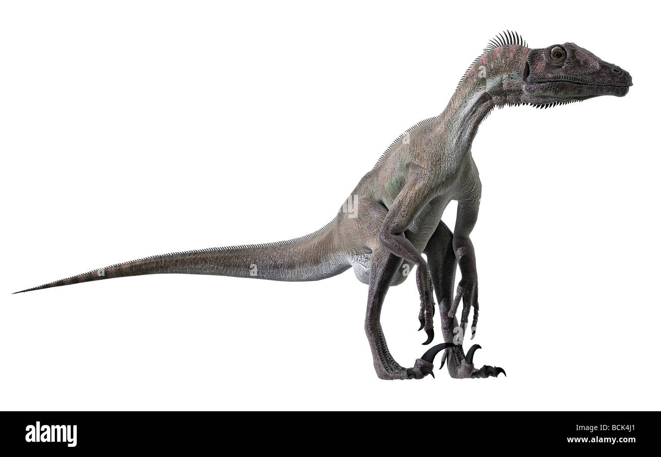 Vollständiger Name Utahraptor Ostrommayorum Utahraptor zunächst im