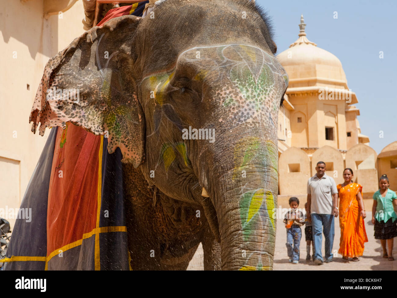 Elefant aus dem Amber Palace Jaipur Rajasthan Indien herab Stockfoto