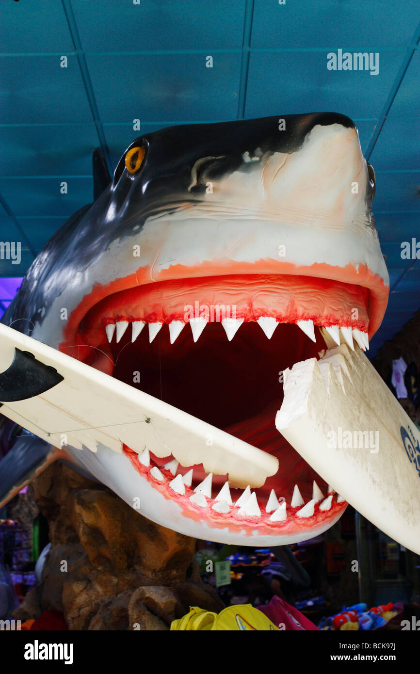 Modell der Hai mit Surfbrett im Mund im Flughafen duty free Shop in Spanien Stockfoto
