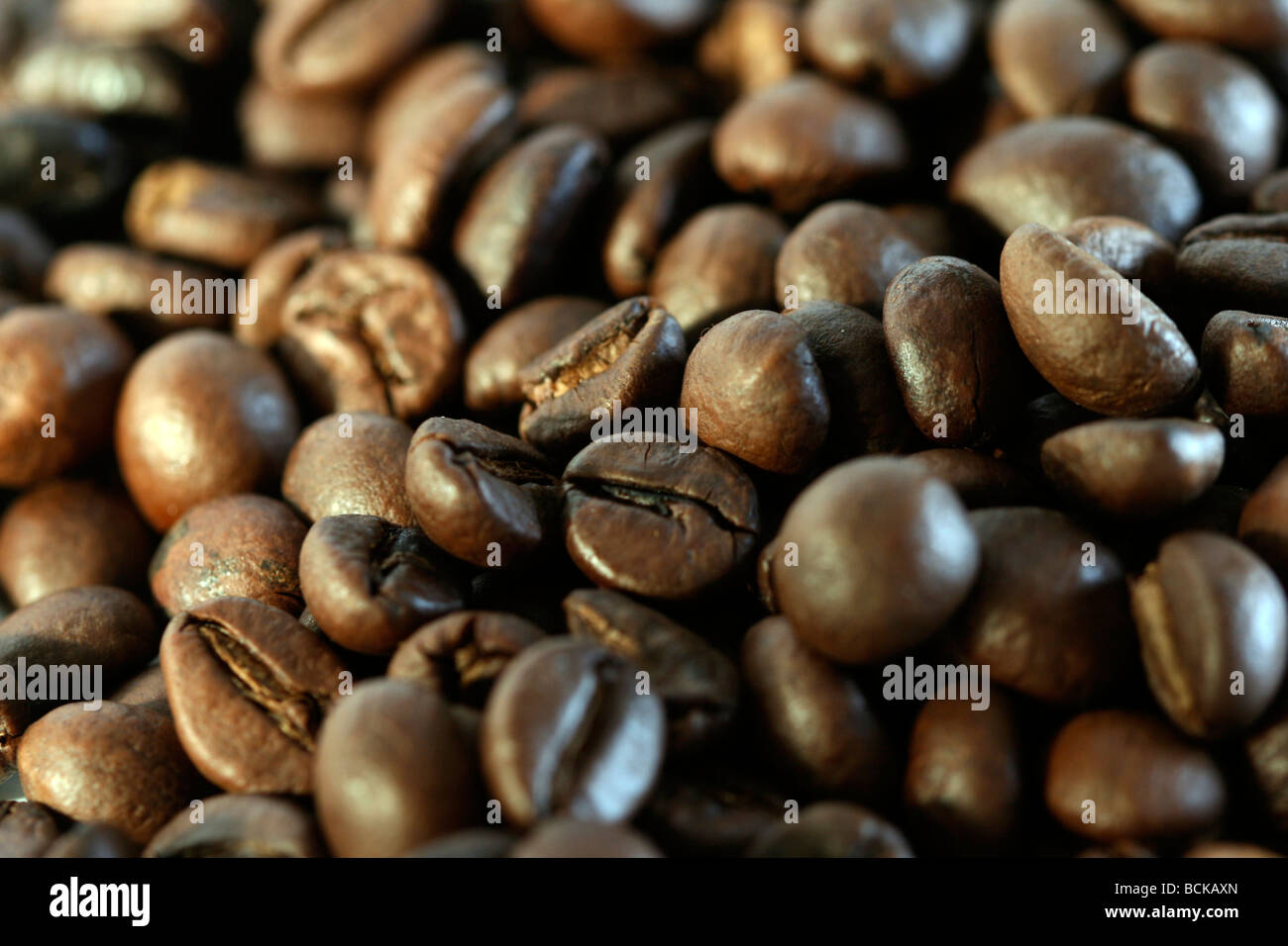 Makro-Bild von Kaffeebohnen. Stockfoto