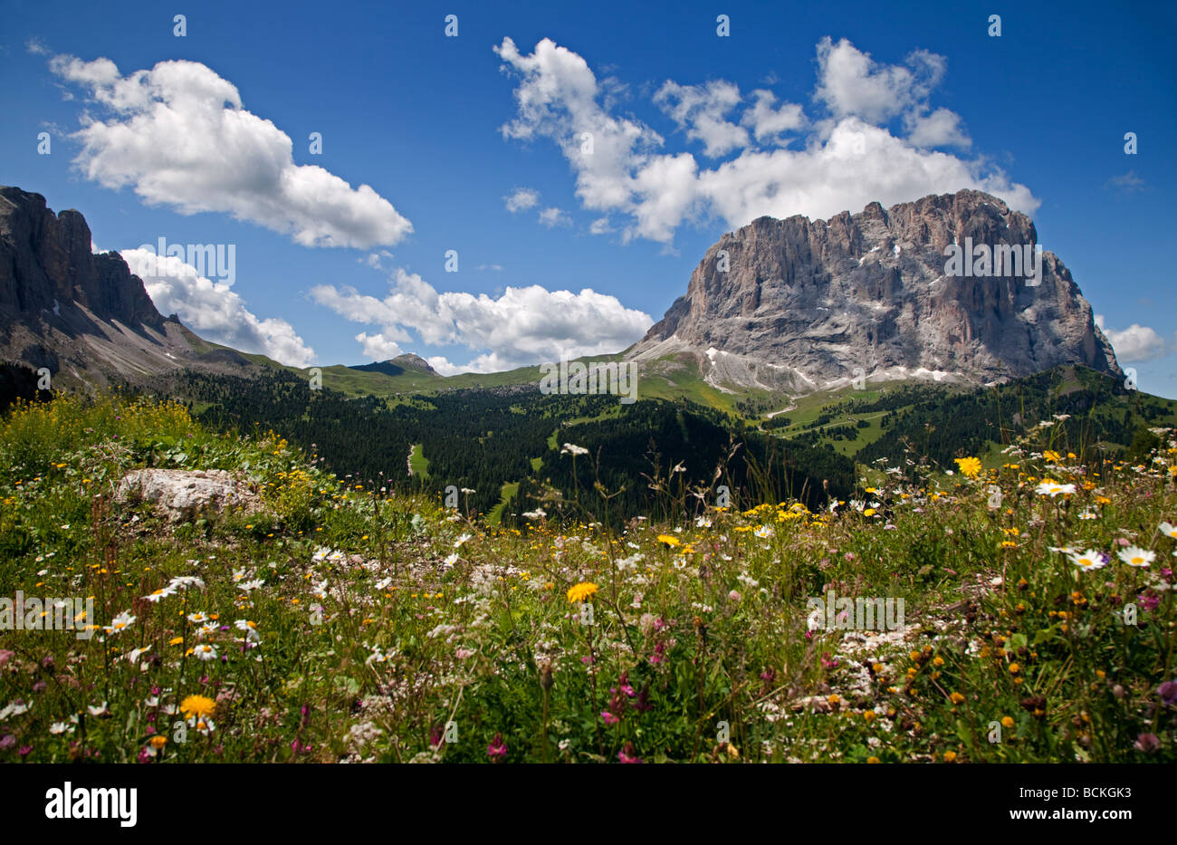 Langkofel, wie aus dem Grödner Joch, Dolomiten, Italien Stockfoto