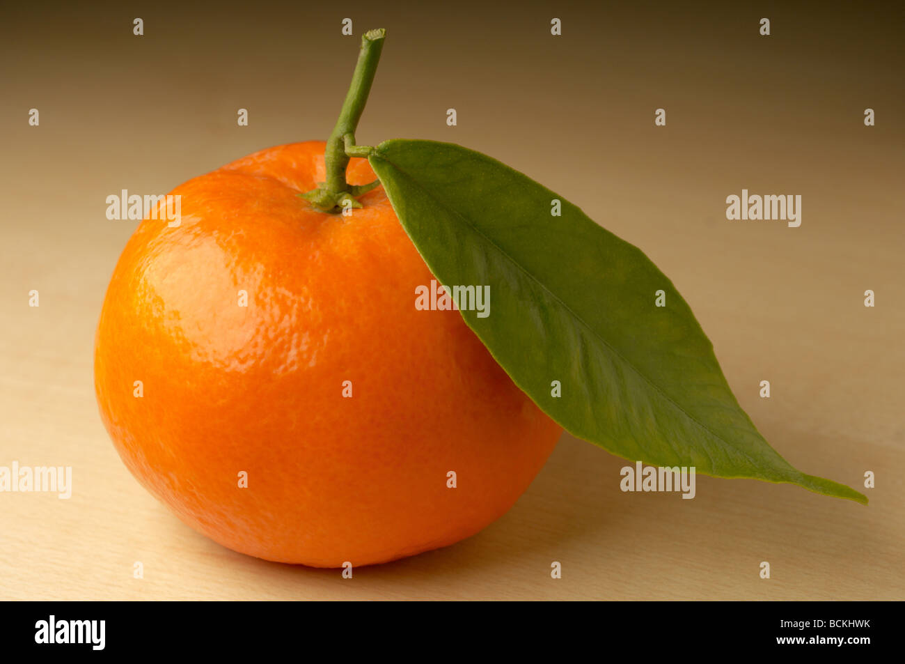 Mandarin auf braunem Hintergrund Stockfoto