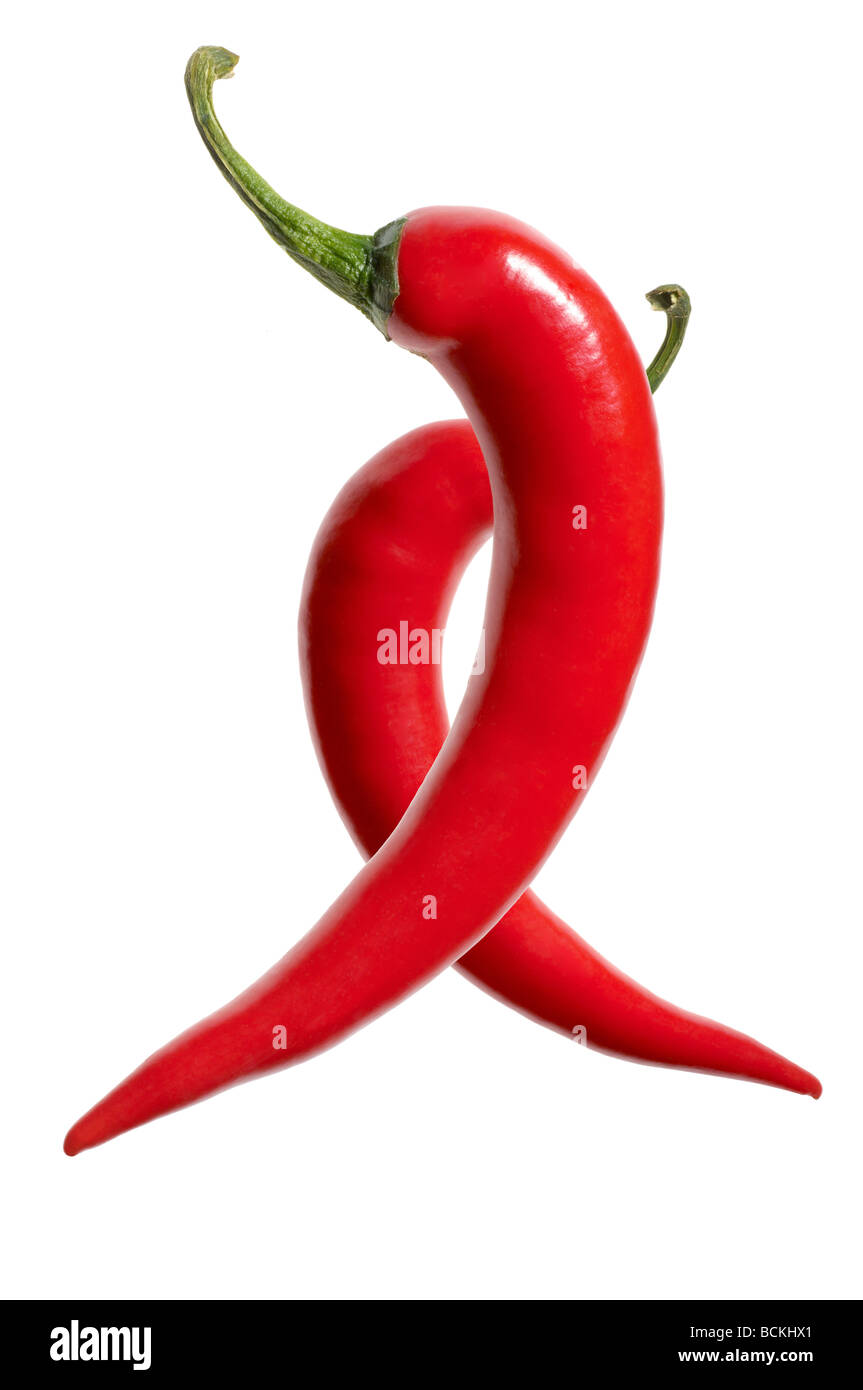 Rote Chilis auf weißem Hintergrund Stockfoto