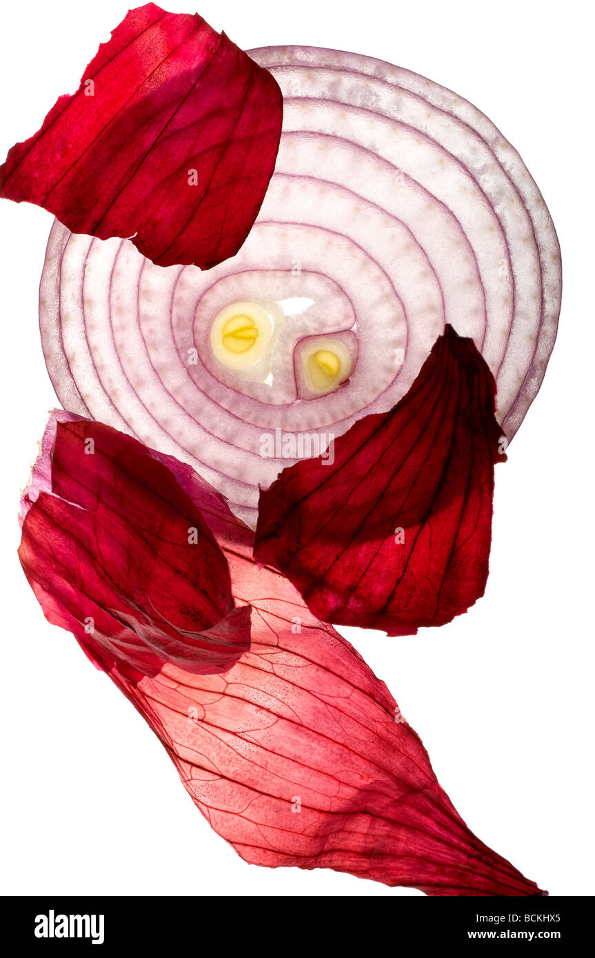 Stück rote Zwiebel mit Haut auf weißem Hintergrund Stockfoto