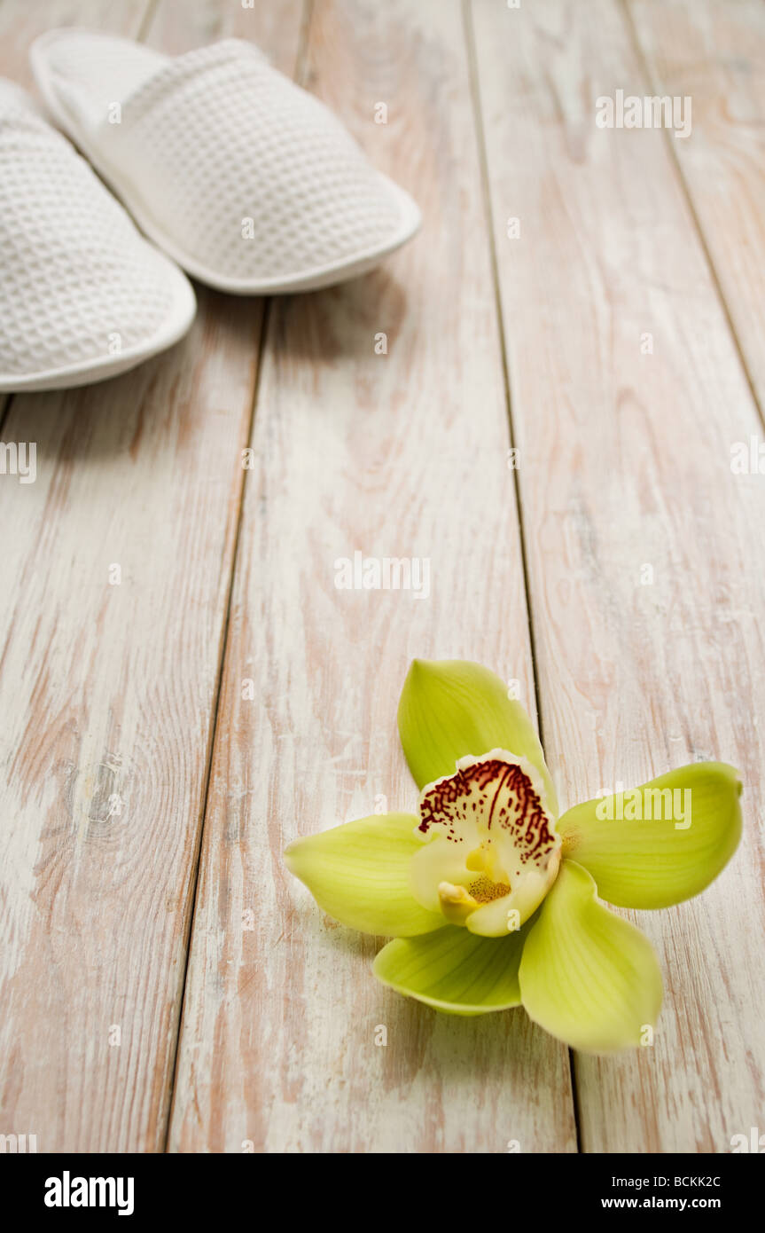 Orchidee Blume und Hausschuhe Stockfoto