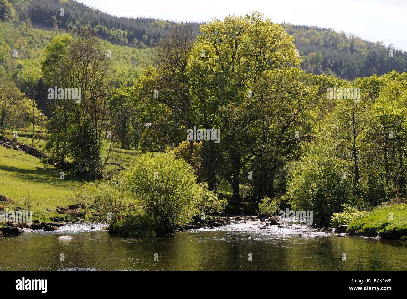 Ansicht des Flusses Conwy Nordwales Uk Mai Stockfoto