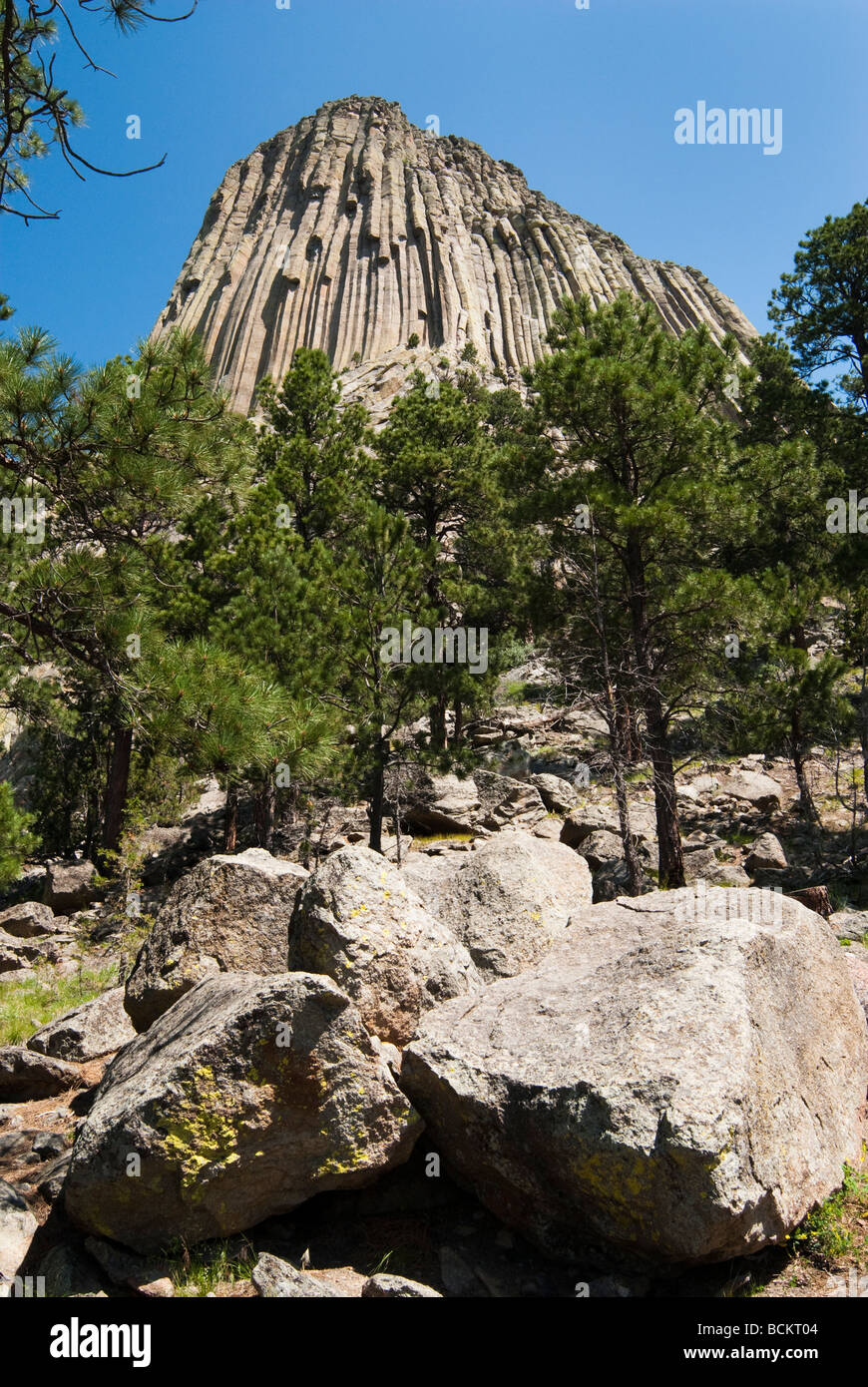 Ansicht des Devils Tower National Monument in Wyoming Stockfoto