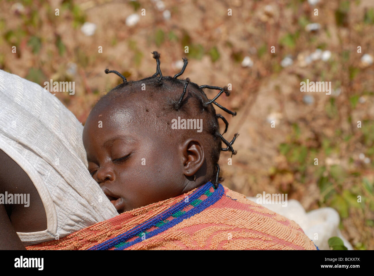 Westafrika Burkina Faso, Fairtrade und Bio-Baumwoll-Projekt, Frau mit Baby-Ernte-Baumwolle auf der farm Stockfoto