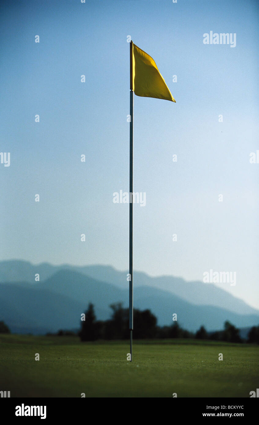 Golfflagge Stockfoto