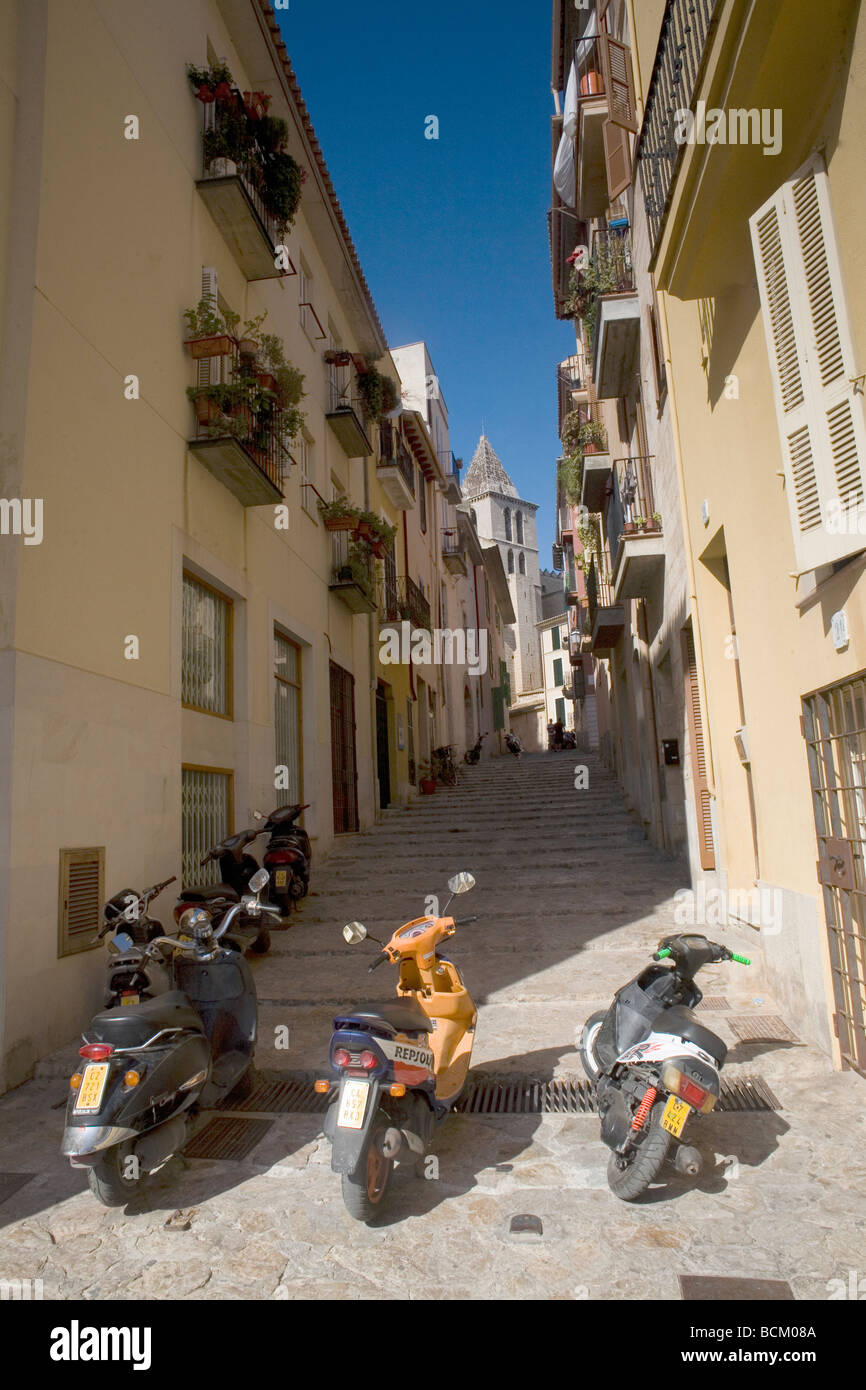 Palma, Mallorca, Spanien Stockfoto