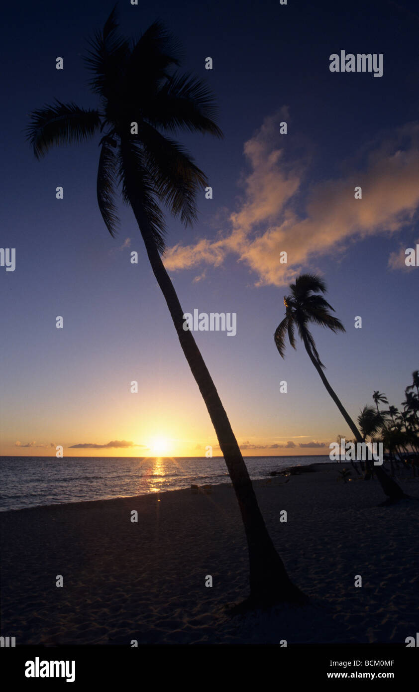 Sonnenuntergang mit Palmen am Strand von Bayahibe - Karibik - Dominikanische Republik-Insel - Provinz La Altagracia Stockfoto