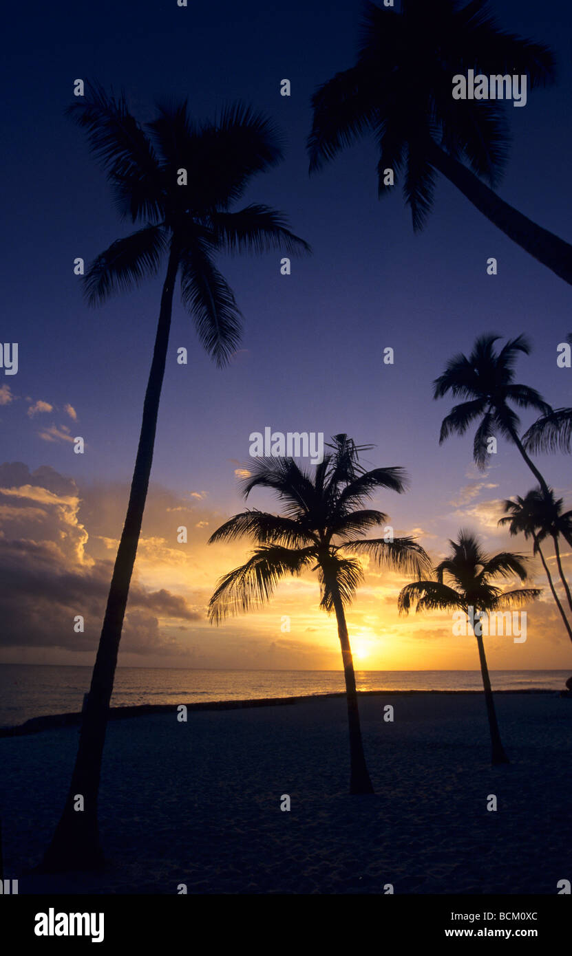 Sonnenuntergang mit Palmen am Strand von Bayahibe - Karibik - Dominikanische Republik-Insel - Provinz La Altagracia Stockfoto