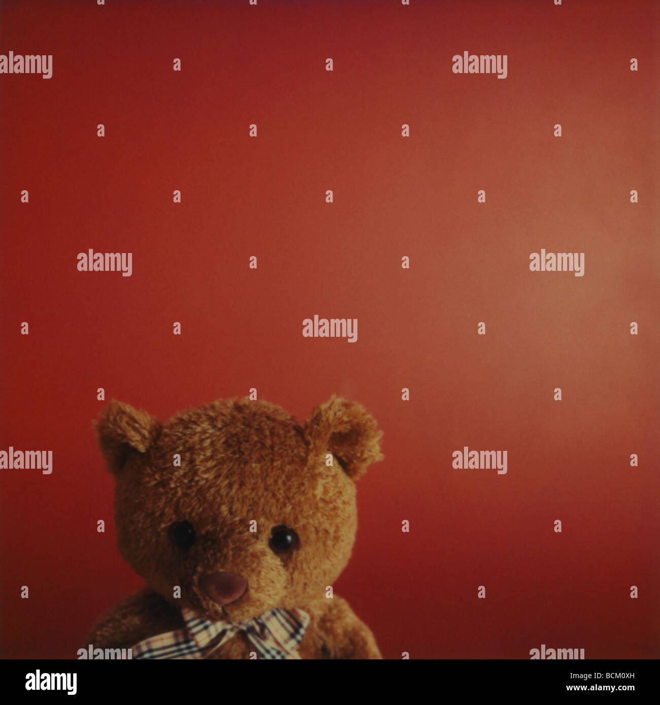 Teddybär vor rotem Hintergrund, verkürzte Ansicht Stockfoto