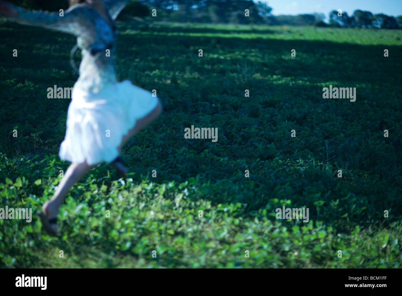 Frau trägt Rock, springen im Feld mit Armen, verschwommen Bewegung Stockfoto
