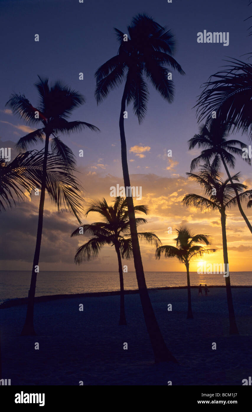 Sonnenuntergang mit Palmen am Strand von Bayahibe - Karibik - Dominikanische Republik-Insel - Provinz La Altagracia Stockfoto