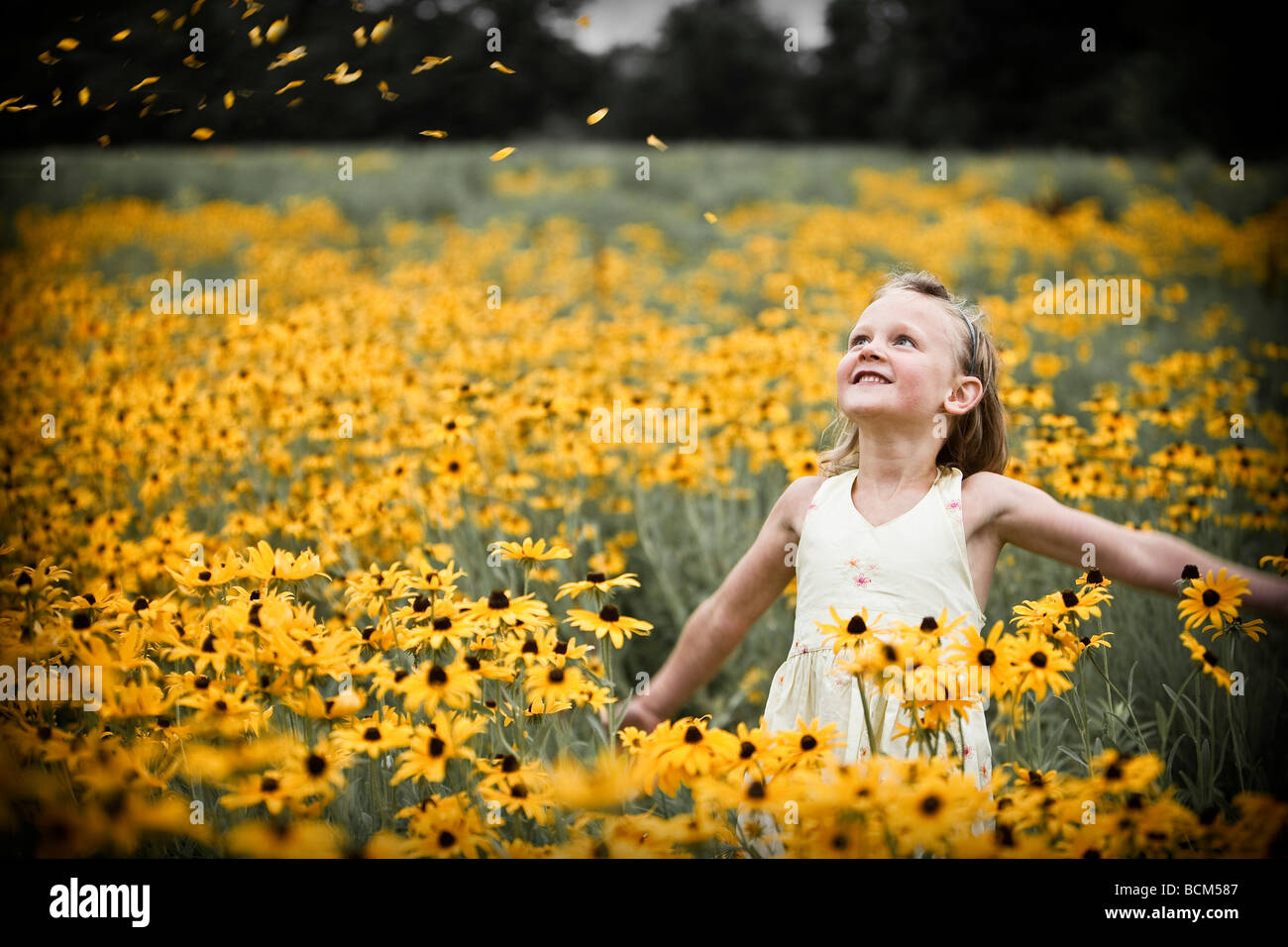 Junges Mädchen in einem Feld von gelben Blüten Stockfoto