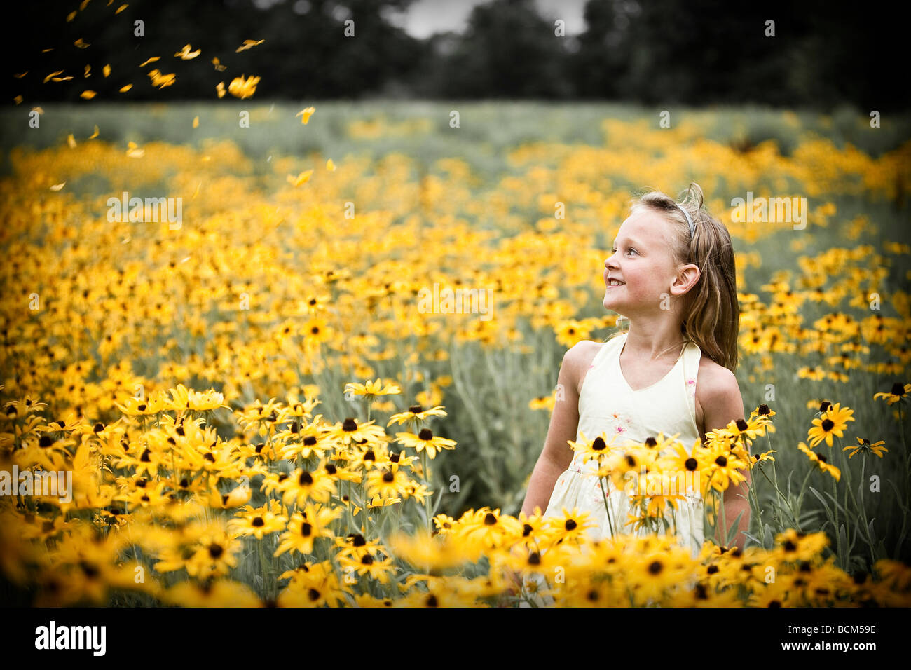 Junges Mädchen in einem Feld von gelben Blüten Stockfoto