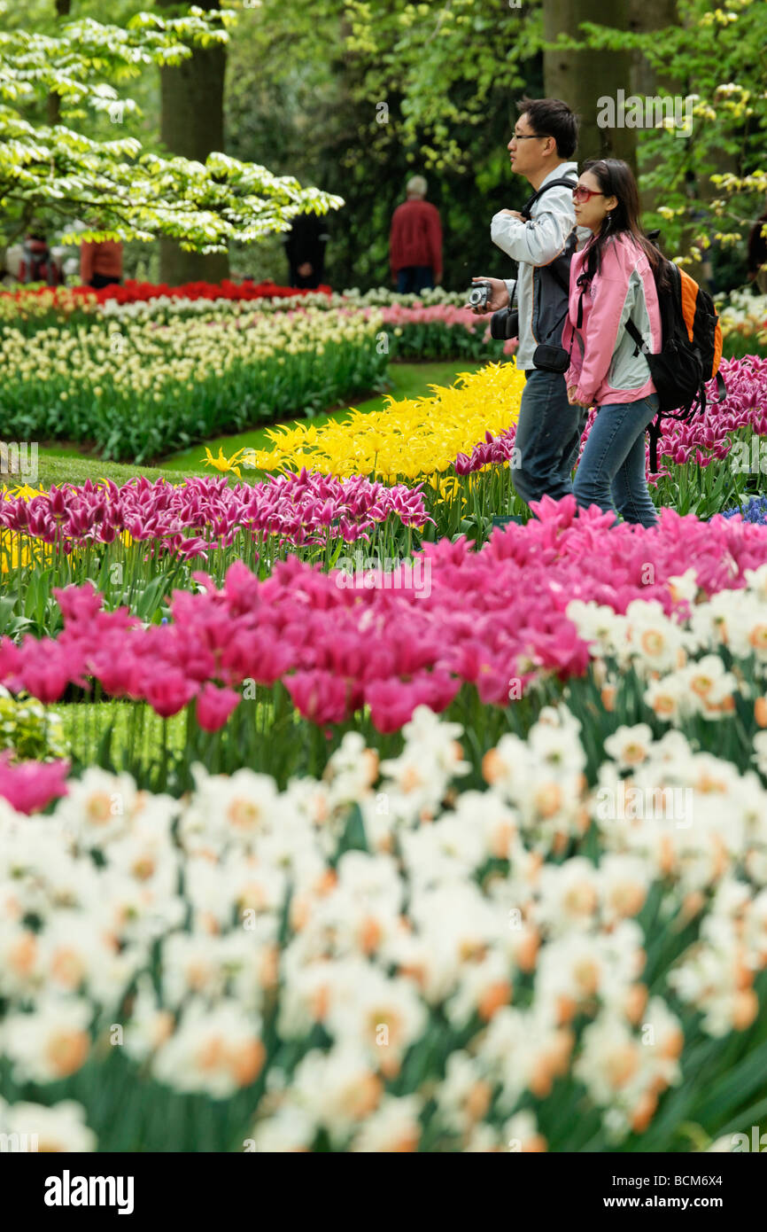 Touristen in Keukenhof Garten, Lisse, Südholland, Niederlande. Stockfoto