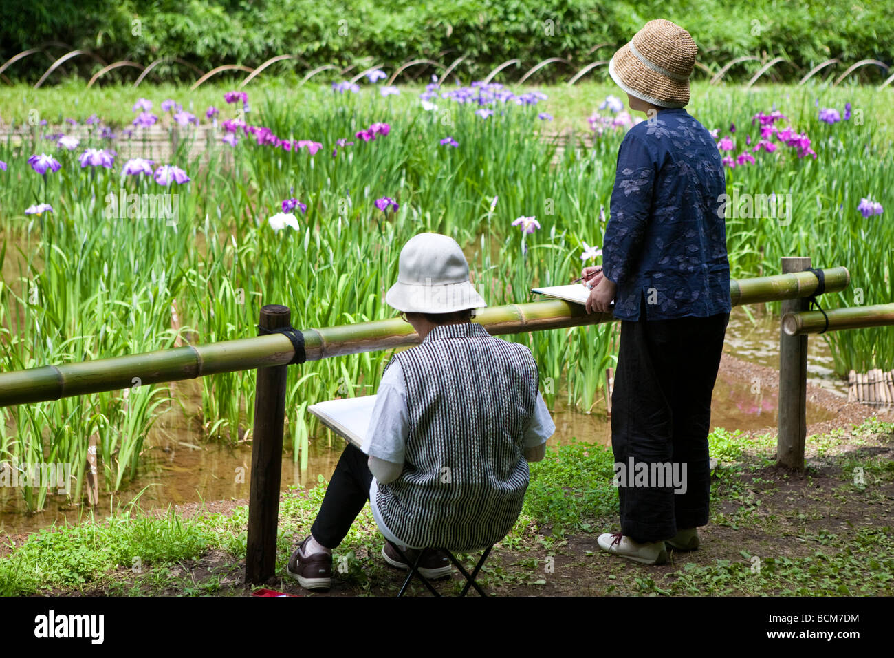 Japanischer Maler Malerei Lilien im Botanischen Garten in Tokio Japan Stockfoto