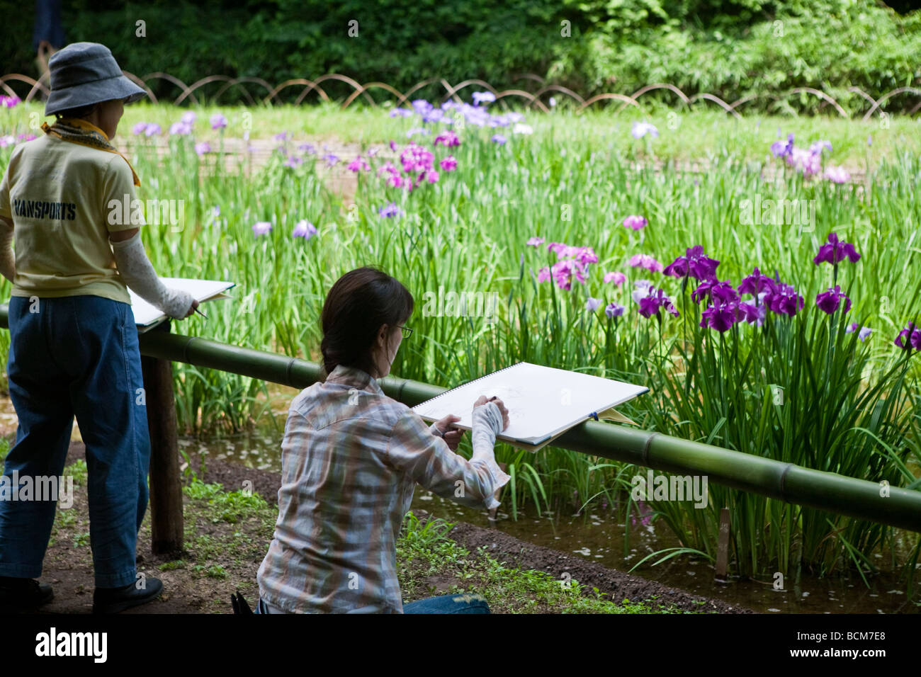 Japanischer Maler Malerei Lilien im Botanischen Garten in Tokio Japan Stockfoto