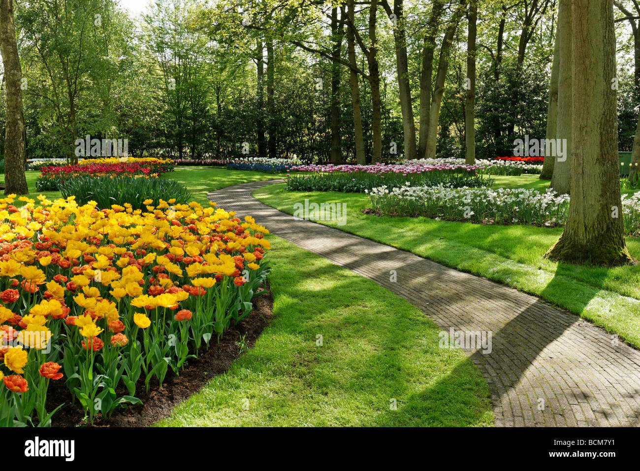 Keukenhof Garten, Lisse, Südholland, Niederlande. Stockfoto