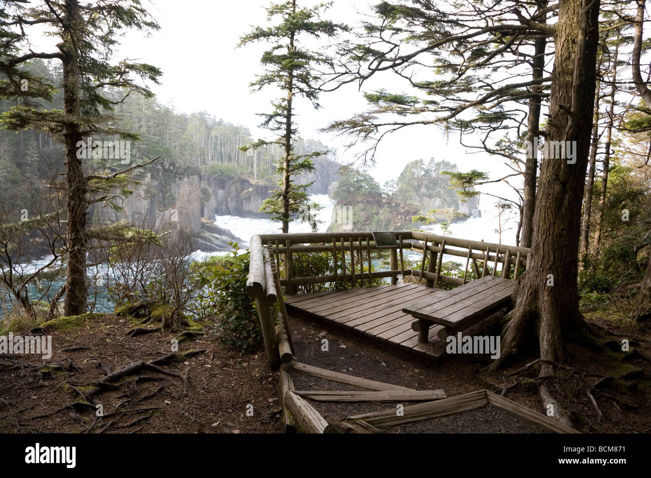 Auf der Cape Flattery Trail Olympische Küste National Marine Sanctuary Washington State übersehen Stockfoto