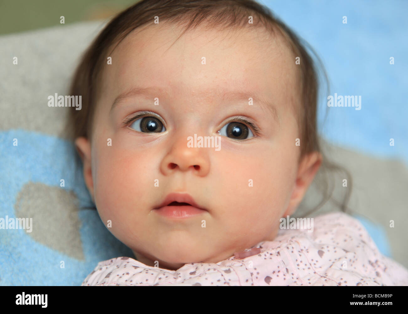 6 Monate altes Babymädchen Stockfoto