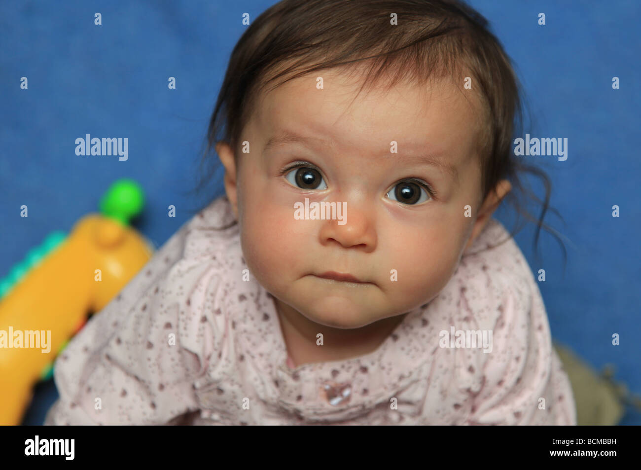 6 Monate altes Babymädchen Stockfoto