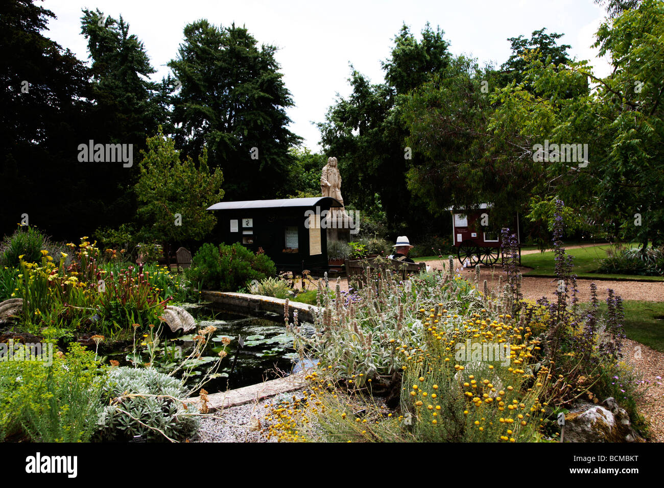 Chelsea Physic Garden London ältesten botanischen Garten und Statue von Hans Sloane London England UK Stockfoto