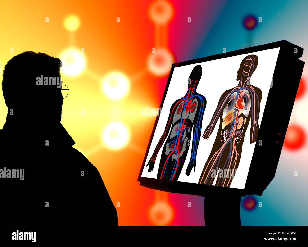 Forschung Arzt überprüfen arterielle Flow Illustrationen auf Computer-monitor Stockfoto