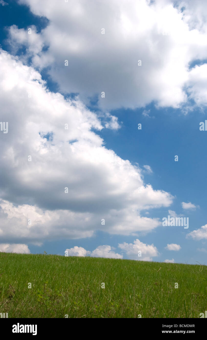 flauschige weiße Wolken und grasgrün Stockfoto
