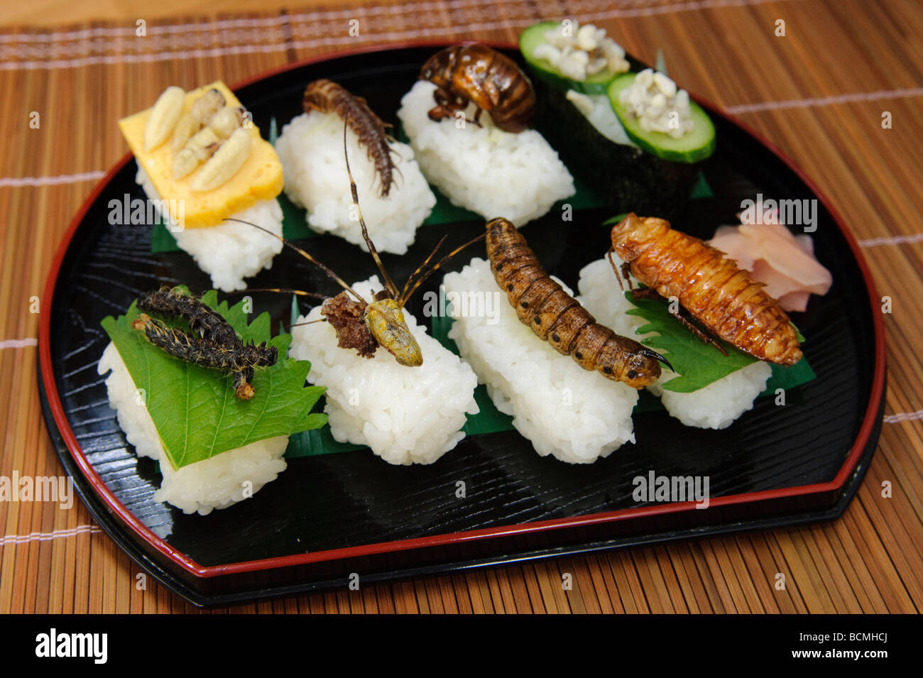 Ein Teller Insekt Sushi, Tokio, Japan, 28. Oktober 2008. Stockfoto