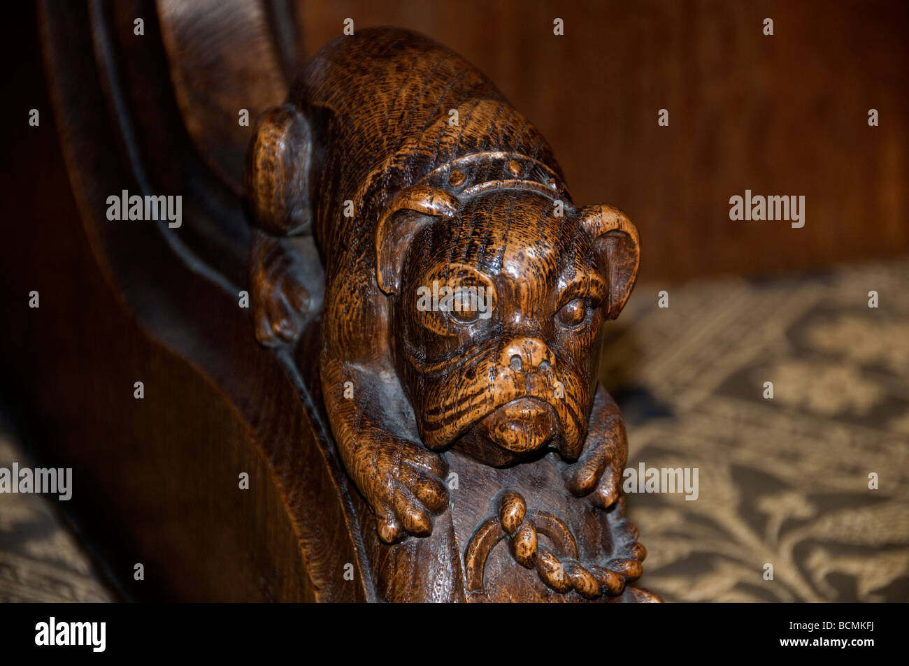 Holz-Schnitzerei eines Hundes in der Distel-Kapelle, St. Giles Cathedral in Edinburgh Stockfoto