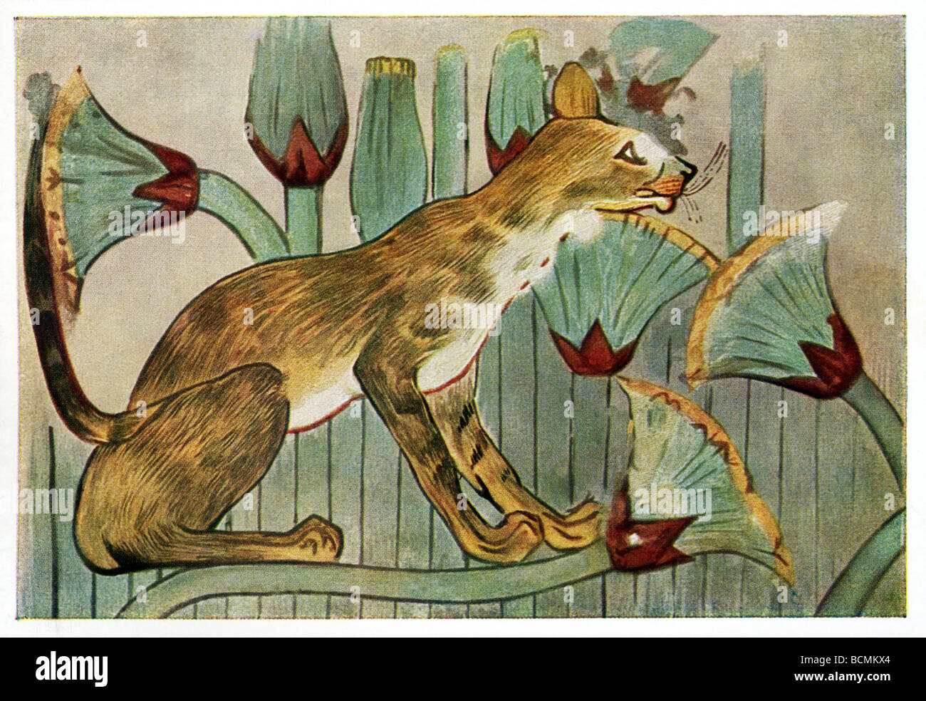 коты много. фрагмент кошки. фрагмент фрески дикая кошка. кошки. мюзикл кошки уэббер.