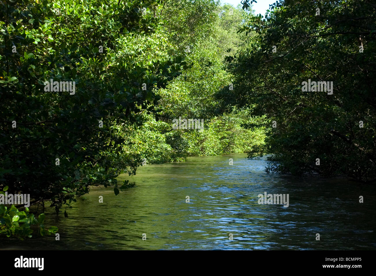 Preguicas Fluss Barreirinhas Maranhao Brasilien Stockfoto