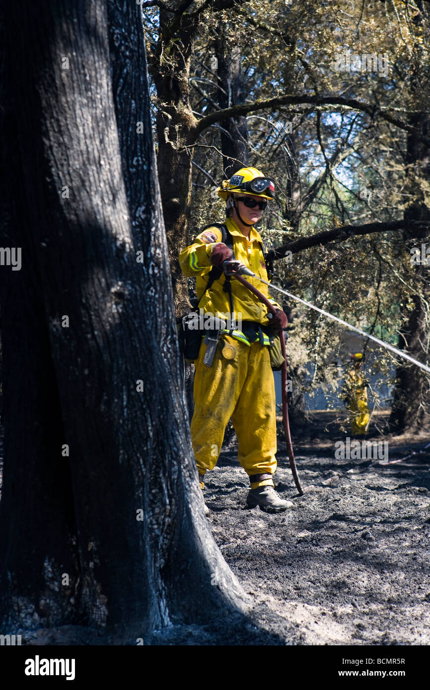 California Wildfire in Santa Cruz Mountains. CALFIRE/CDF Wildland Feuerwehrmann-Strike Team im Löschangriff Stockfoto