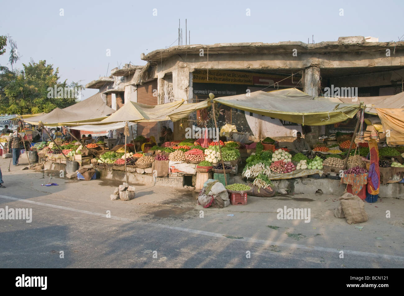 Obst, Gemüse-Markt, Jaipur, Rajasthan, Indien Stockfoto