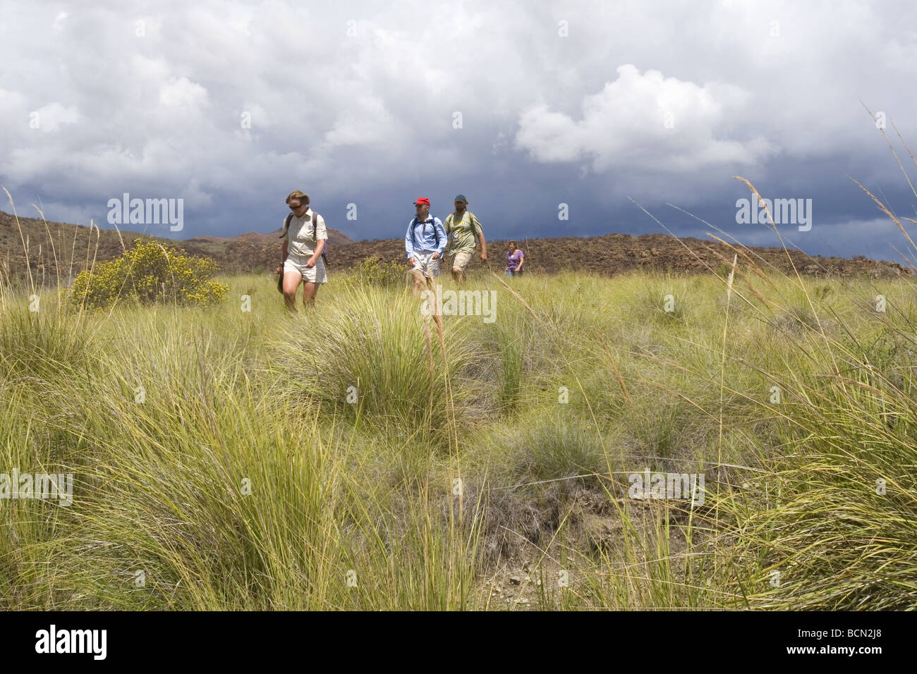 Gruppe von Wanderern in Steppe mit drohenden Gewitterwolken, Karoo Stockfoto