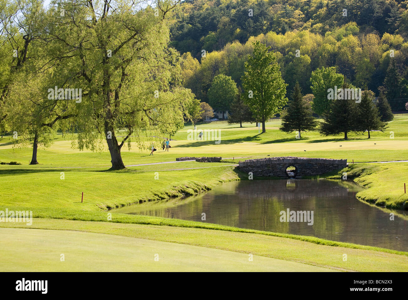 Lederstrumpf-Golfplatz Stockfoto