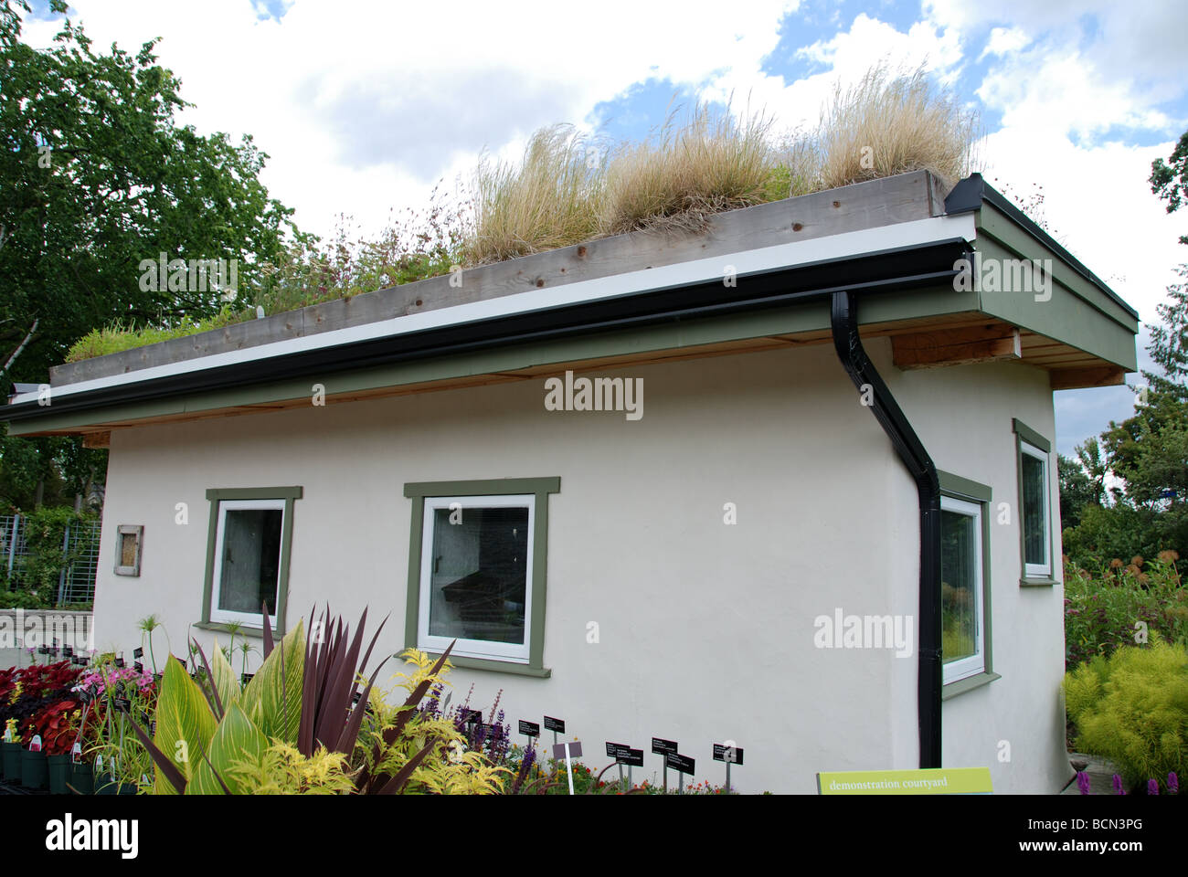 Dachbegrünung auf einem Gärtner Werkzeugschuppen Stockfoto