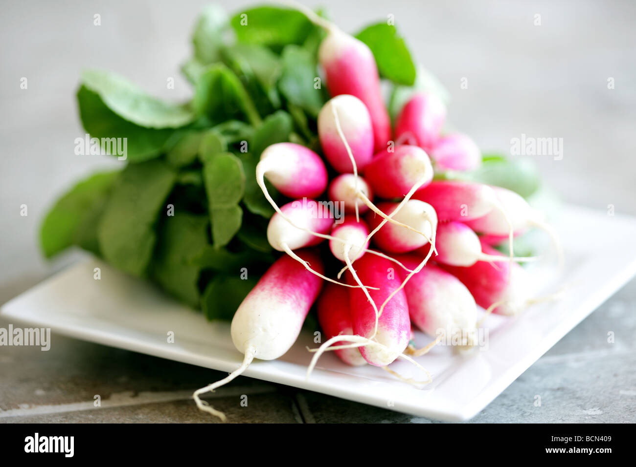 Frische, gesunde Menge frisches Gemüse Heiß pfeffrig Sommer Salat Radieschen mit Keine Personen Stockfoto