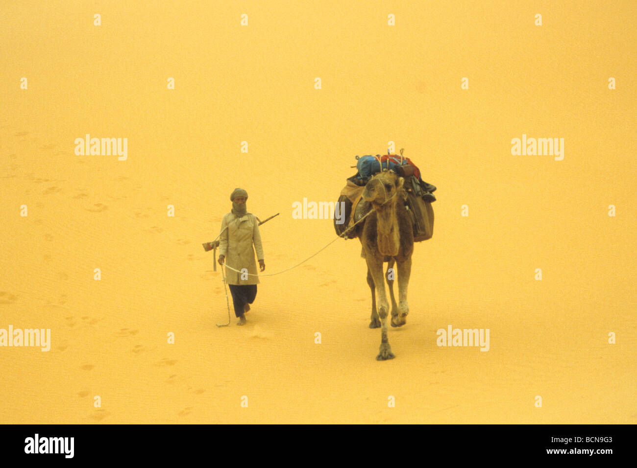 Algerien westlichen erg Stockfotografie Alamy