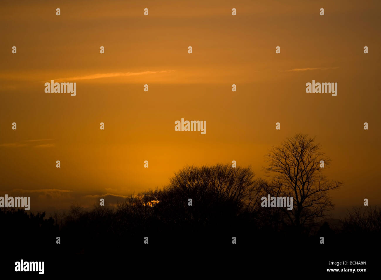 Winterhimmel bei Sonnenuntergang Stockfoto
