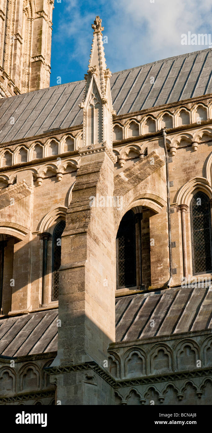Schwibbogen in Salisbury Kathedrale von Salisbury Wiltshire Stockfoto