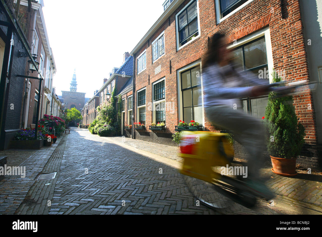 Haarlem, Nordholland, Niederlande Noord im Sommer Stockfoto