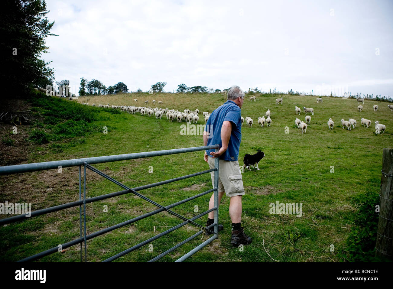Rob Law, UK Farmer des Jahres Stockfoto